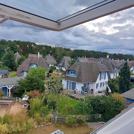 فيلا Haus 146 Kiefernweg 8 Karlshagen المظهر الخارجي الصورة